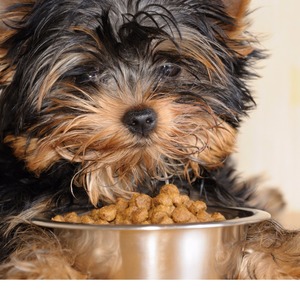 SODIUM BICARBONATE FG China -  25kg Bag SODIUM BICARBONATE FG China -  25kg Bag