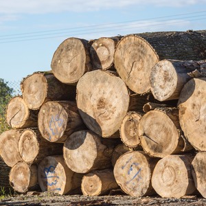 SODA ASH DENSE (USA) 25kg Bag SODA ASH DENSE (USA) 25kg Bag